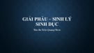 Bài giảng Giải phẫu sinh lý sinh dục - ThS. BS. Trần Quang Thảo