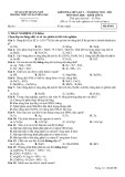 Đề thi giữa học kì 1 môn Hoá học lớp 11 năm 2022-2023 có đáp án - Trường THPT Võ Nguyên Giáp – Quảng Nam