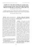 Nghiên cứu thu nhận saponin từ củ đẳng sâm (Codonopsis pilosula (Franch) Nannf) bằng phương pháp trích li có hỗ trợ của enzyme và sóng siêu âm