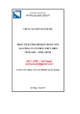 Luận văn Thạc sĩ Tài chính ngân hàng: Phân tích tình hình sử dụng vốn tại Công ty cổ phần Thủy điện Vĩnh Sơn - Sông Hinh