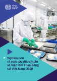 Nghiên cứu rà soát các tiêu chuẩn về Việc làm Thoả đáng tại Việt Nam 2020