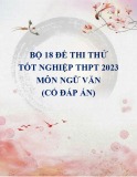 Bộ 18 đề thi thử tốt nghiệp THPT 2023 môn Ngữ văn (Có đáp án)