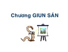 Bài giảng về Giun sán