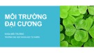 Bài giảng Môi trường đại cương: Các vấn đề chung về Môi trường - ThS. Hoàng Thị Phương Chi