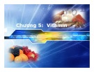 Bài giảng Sinh hoá cơ sở: Vitamin - PGS.TS. Ngô Đại Nghiệp và TS. Nguyễn Thị Hồng Thương