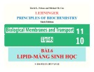 Bài giảng Nguyên lý hoá sinh: Bài 6 - PGS.TS. Bùi Văn Lệ