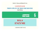 Bài giảng Nguyên lý hoá sinh: Bài 4 - PGS.TS. Bùi Văn Lệ