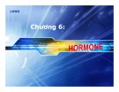 Bài giảng Sinh hoá cơ sở: Hormone - PGS.TS. Ngô Đại Nghiệp và TS. Nguyễn Thị Hồng Thương