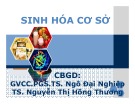 Bài giảng Sinh hoá cơ sở: Mở đầu - PGS.TS. Ngô Đại Nghiệp và TS. Nguyễn Thị Hồng Thương