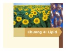 Bài giảng Sinh hoá cơ sở: Lipid - PGS.TS. Ngô Đại Nghiệp và TS. Nguyễn Thị Hồng Thương