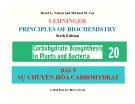 Bài giảng Nguyên lý hoá sinh: Bài 9 - PGS.TS. Bùi Văn Lệ