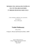 Doctor's thesis of Philosophy: An investigation of the in vitro toxicity of zinc oxide nanoparticles in UV-irradiated skin cells