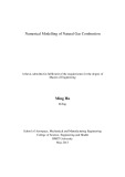 Master's thesis of Engineering: Numerical modelling of natural gas combustion