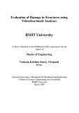 Master's thesis of Engineering: Evaluation of damage in structures using vibration-based analyses