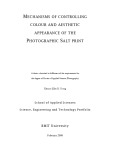 Master's thesis of Applied Science (Photography): Mechanisms of controlling colour and aesthetic appearance of the photographic salt print