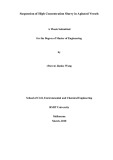 Master's thesis of Engineering: Suspension of high concentration slurry in agitated vessels