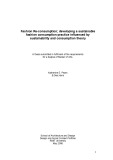 Master's thesis of Arts: Fashion re-consumption: developing a sustainable fashion consumption practice influenced by sustainability and consumption theory