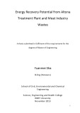 Master's thesis of Engineering: Energy recovery potential from Altona treatment plant and meat industry wastes