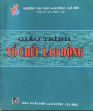 Giáo trình Tổ chức lao động: Phần 1 - PGS. TS. Nguyễn Hiệp