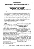 Ảnh hưởng của chu kỳ bổ sung đường cát trong ương ấu trùng tôm càng xanh (Macrobrachium rosenbergii) bằng công nghệ biofloc