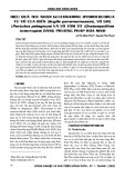 Hiệu quả thu nhận glucosamine hydrochlorua từ vỏ cua biển (Scylla paramamosain), vỏ ghẹ (Portulus pelagicus) và vỏ tôm tít (Oratosquillina interrupta) bằng phương pháp hóa sinh