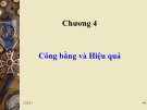 Bài giảng Kinh tế công cộng: Chương 4 - Cân bằng và hiệu quả