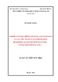 Luận án Tiến sĩ Y học: Nghiên cứu đặc điểm lâm sàng, cận lâm sàng và yếu tố nguy cơ ở bệnh nhân bệnh động mạch chi dưới mạn tính có đái tháo đường týp 2