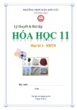 Lý thuyết và bài tập học kì 1 môn Hóa học lớp 11 năm 2022 (KHTN) - Trường THPT Đào Sơn Tây