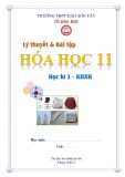 Lý thuyết và bài tập môn Hóa học lớp 11 (KHXH) năm 2021-2022 - Trường THPT Đào Sơn Tây