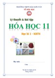 Lý thuyết và bài tập môn Hóa học lớp 11 (KHTN) năm 2021-2022 - Trường THPT Đào Sơn Tây