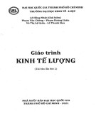 Giáo trình Kinh tế lượng: Phần 2 (2021)