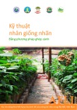 Kỹ thuật nhân giống nhãn bằng phương pháp ghép cành