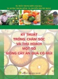 Một số giống cây ăn quả có múi - Kỹ thuật trồng, chăm sóc và thu hoạch