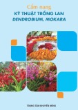 Cẩm nang kỹ thuật trồng lan Dendrobium, Mokara