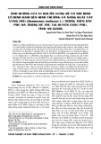 Ảnh hưởng của vi khuẩn vùng rễ và nội sinh cố định đạm đến sinh trưởng và năng suất cây vừng (mè) (Sesamum indicum L.) trồng trên đất phù sa trong đê thu tại huyện Châu Phú, tỉnh An Giang