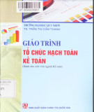 Giáo trình Tổ chức hạch toán kế toán: Phần 1