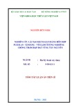 Tóm tắt Luận án Tiến sĩ Kỹ thuật: Nghiên cứu cải tạo đất bazan bằng hỗn hợp puzolan - xi măng - vôi làm tường nghiêng chống thấm cho đập đất vùng Tây Nguyên