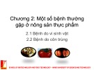 Bài giảng Bảo quản sau thu hoạch: Chương 2 - Nguyễn Thị Hạnh