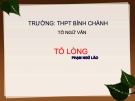 Bài giảng Ngữ văn lớp 10: Bài thơ Tỏ lòng - Trường THPT Bình Chánh