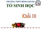 Bài giảng Sinh học lớp 10 bài 11: Vận chuyển các chất qua màng - Trường THPT Bình Chánh