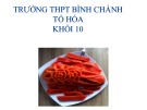 Bài giảng Hóa học lớp 10 bài 22: Clo - Trường THPT Bình Chánh