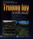 Trường luỹ Quảng Ngãi