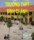 Bài giảng Hóa học lớp 11 bài 2: Axit, bazơ và muối - Trường THPT Bình Chánh