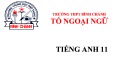 Bài giảng Tiếng Anh lớp 11 Unit 2: Personal experiences (Language focus) - Trường THPT Bình Chánh