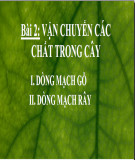 Bài giảng Sinh học lớp 11 bài 2: Vận chuyển các chất trong cây - Trường THPT Bình Chánh