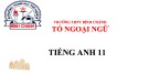 Bài giảng Tiếng Anh lớp 11 Unit 2: Personal experiences (Reading) - Trường THPT Bình Chánh