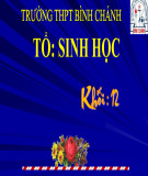 Bài giảng Sinh học lớp 12 bài 3: Điều hòa hoạt động của gen - Trường THPT Bình Chánh