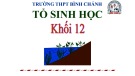 Bài giảng Sinh học lớp 12 bài 13: Ảnh hưởng của môi trường lên sự biểu hiện của gen - Trường THPT Bình Chánh