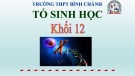 Bài giảng Sinh học lớp 12 bài 23: Ôn tập phần Di truyền học - Trường THPT Bình Chánh