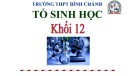 Bài giảng Sinh học lớp 12 bài 19: Tạo giống mới bằng phương pháp gây đột biến và công nghệ tế bào - Trường THPT Bình Chánh